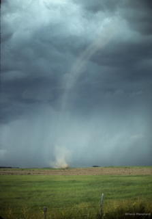 0060_1988_0823_1612_17_dustDevil.jpg