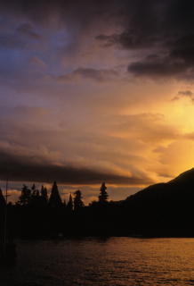 0200_20080116_nz_737.jpg