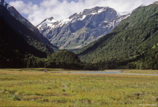 0090_2008_0106_nz_317.jpg