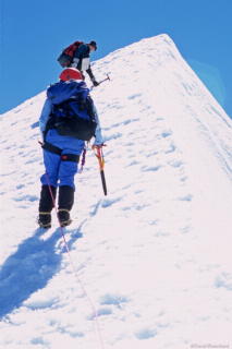 0110_2008_0105_nz_224B.jpg