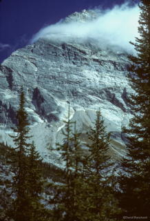 0340_1987_0905_419_GlacierNP.jpg