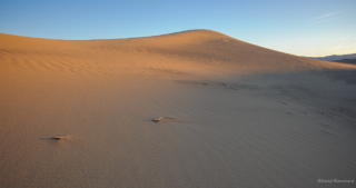 0120_20170309_0721_DBP_4546.jpg